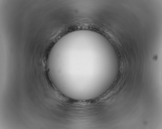 X0000091170661200708091025