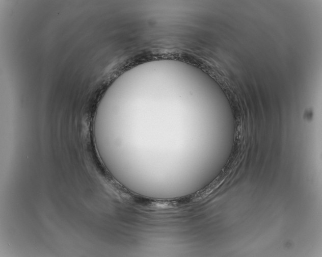 X0000091170662200708091025