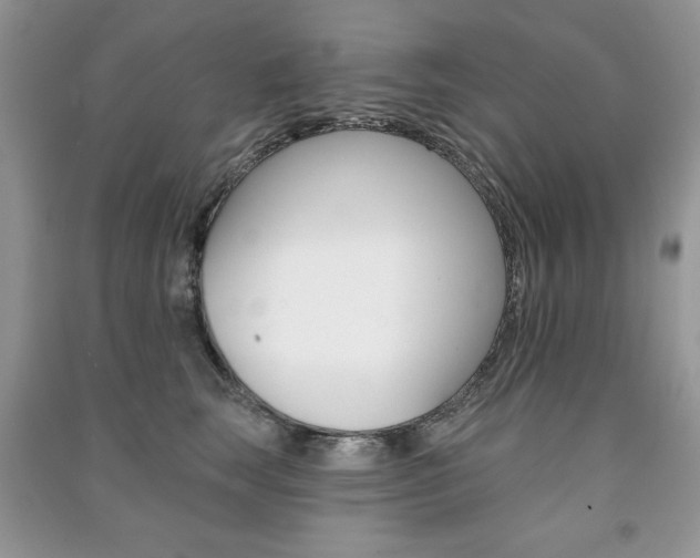 X0000091170663200708091025