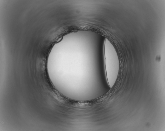 X0000091170664200708091025