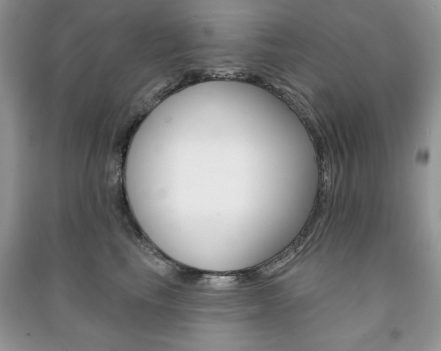 X0000091170665200708091025
