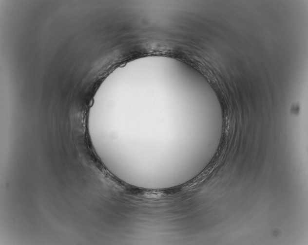X0000091170666200708091025