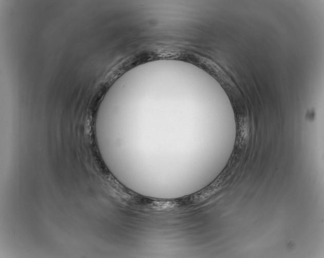 X0000091170667200708091025