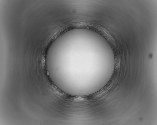 X0000091170669200708091025