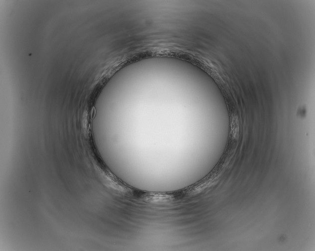 X0000091170670200708091025