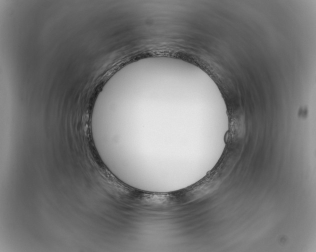 X0000091170671200708091025