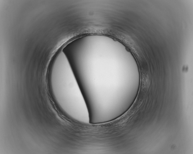 X0000091170674200708091024