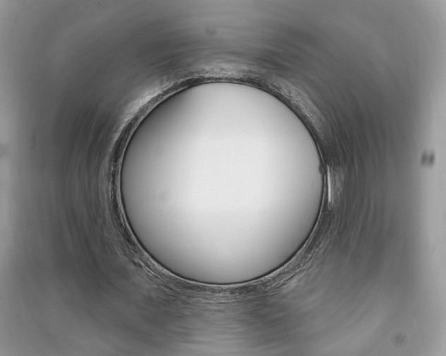 X0000091170675200708091024