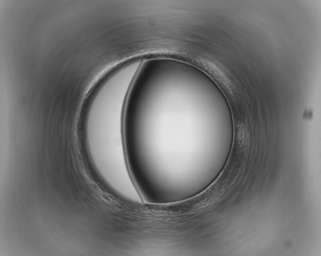 X0000091170676200708091024