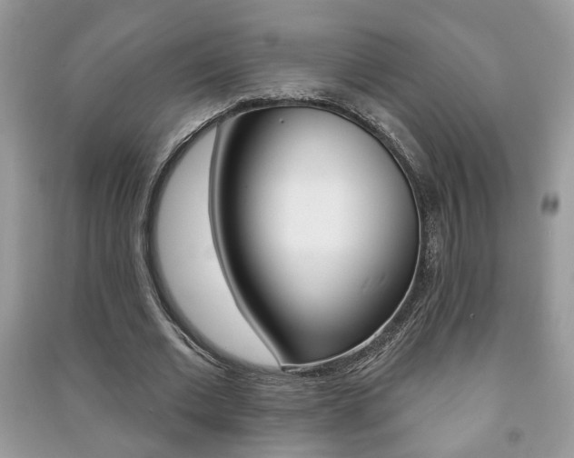 X0000091170677200708091024