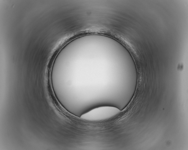 X0000091170678200708091024