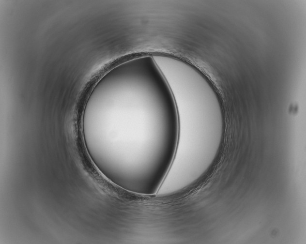 X0000091170680200708091024