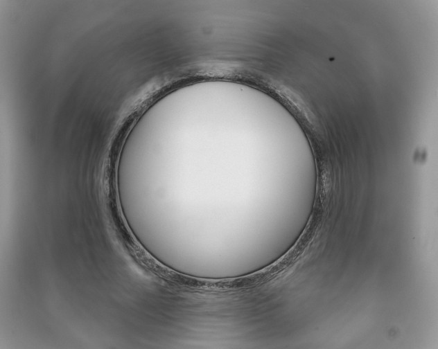 X0000091170682200708091024