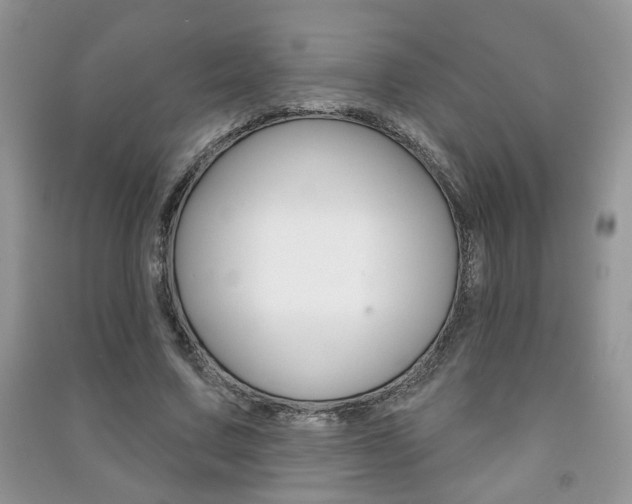X0000091170683200708091024