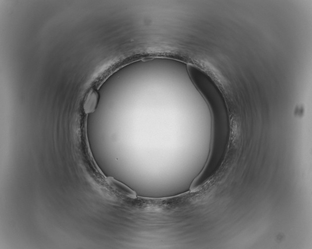 X0000091170684200708091024
