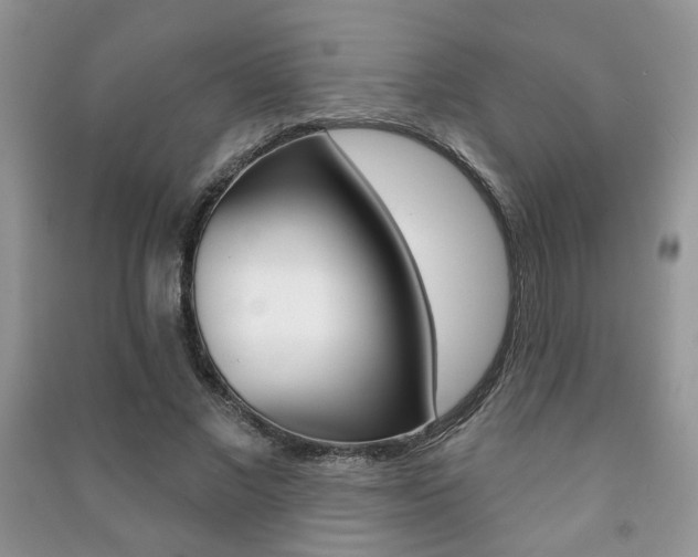X0000091170685200708091024