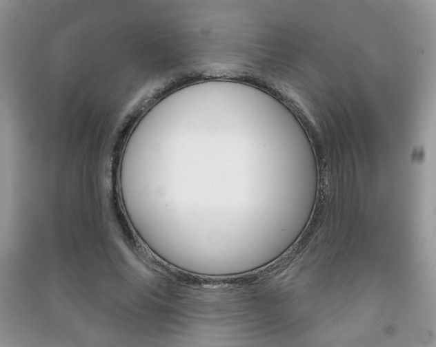 X0000091170686200708091024