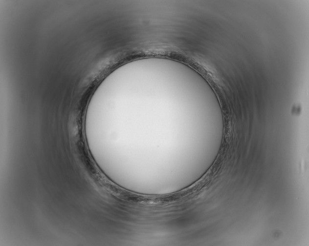X0000091170687200708091024
