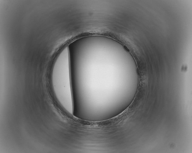 X0000091170688200708091024