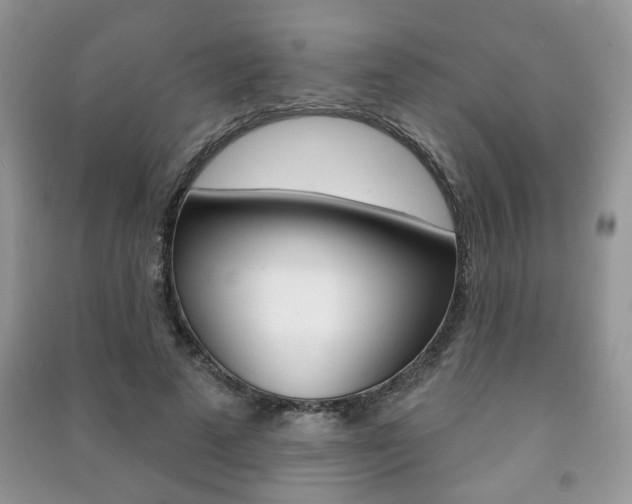 X0000091170689200708091024