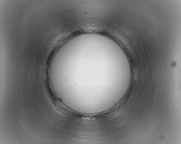 X0000091170690200708091024