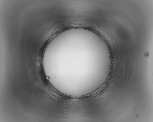 X0000091170691200708091024