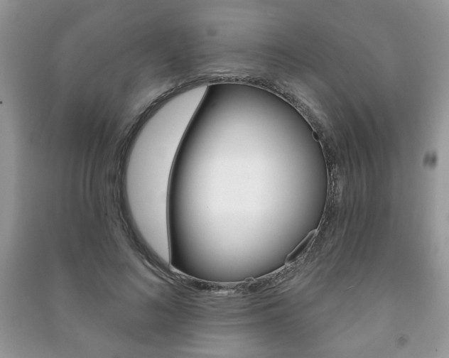 X0000091170692200708091024