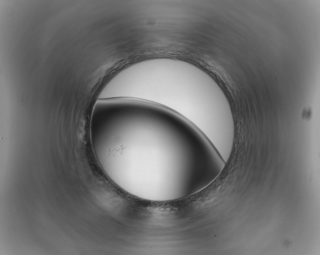 X0000091170693200708091024