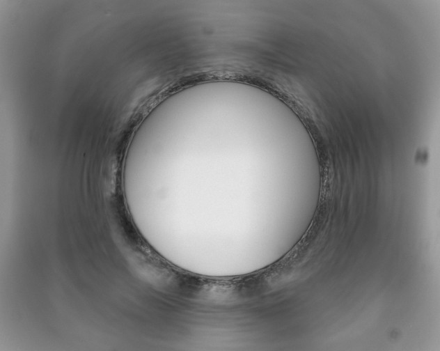 X0000091170694200708091024