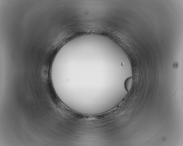 X0000091170695200708091024