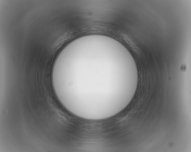X0000091170696200708091024