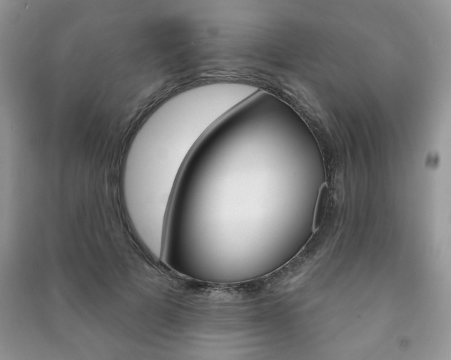 X0000091170697200708091024