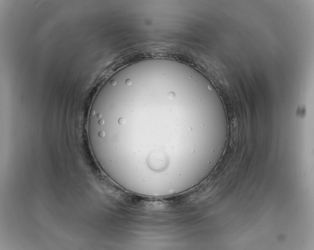 X0000091170698200708091024