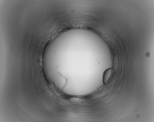 X0000091170699200708091024