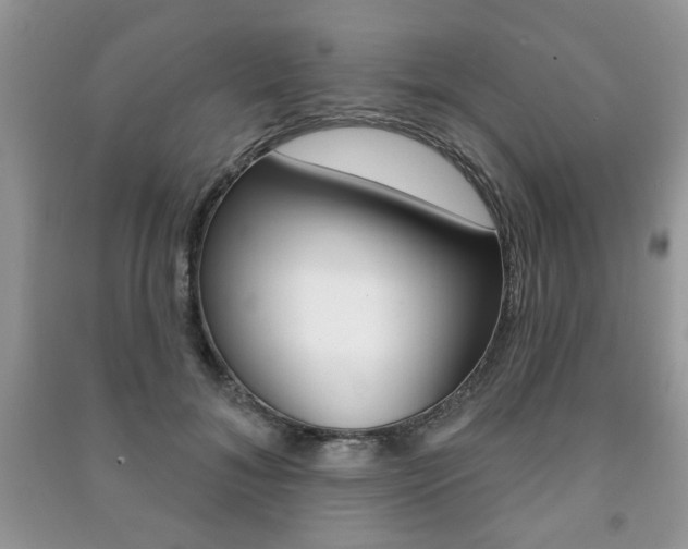 X0000091170700200708091024