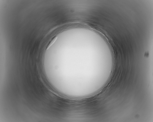 X0000091170701200708091024