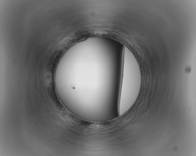 X0000091170704200708091024