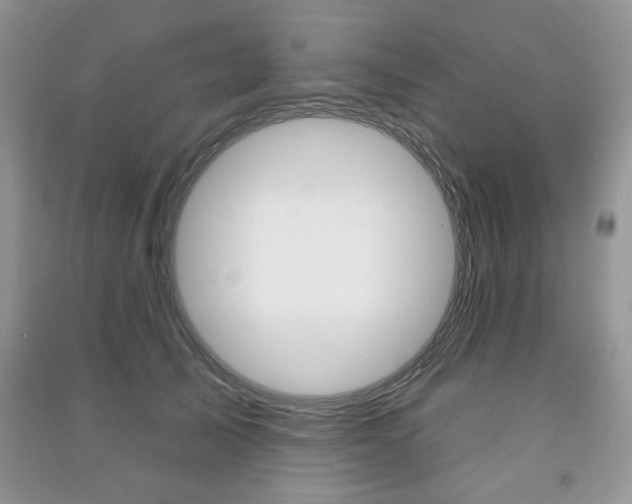 X0000091170705200708091024