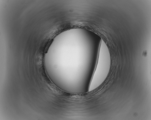 X0000091170708200708091024