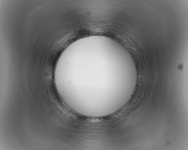 X0000091170710200708091024