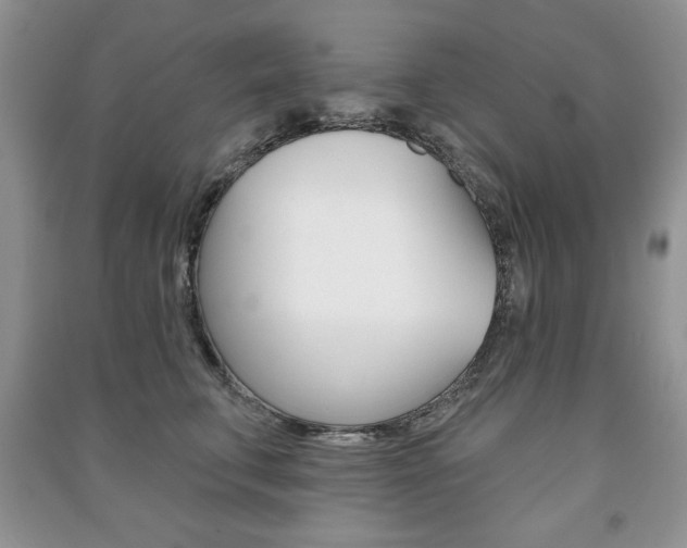 X0000091170711200708091024