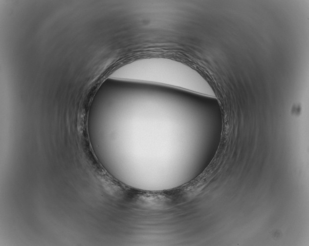 X0000091170712200708091024