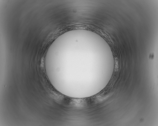 X0000091170713200708091024