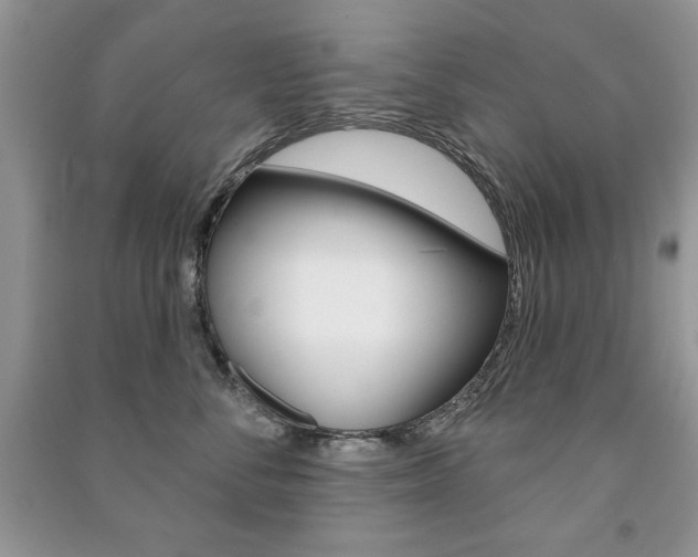 X0000091170716200708091024