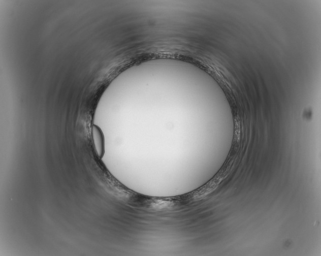 X0000091170718200708091024