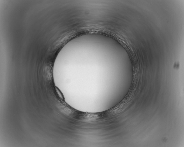 X0000091170719200708091024