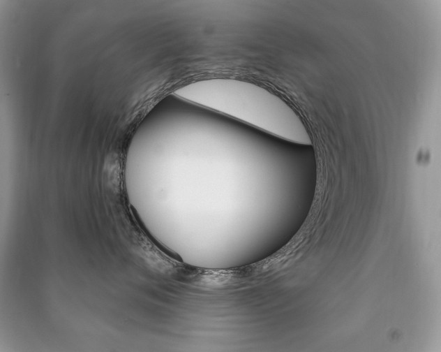 X0000091170720200708091024