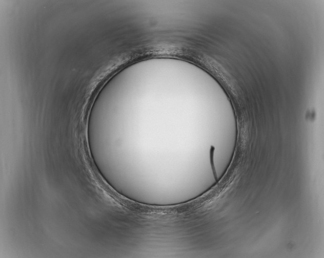 X0000091170721200708091023