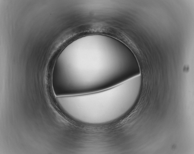 X0000091170722200708091023