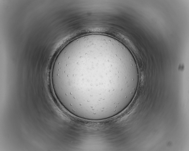 X0000091170725200708091023